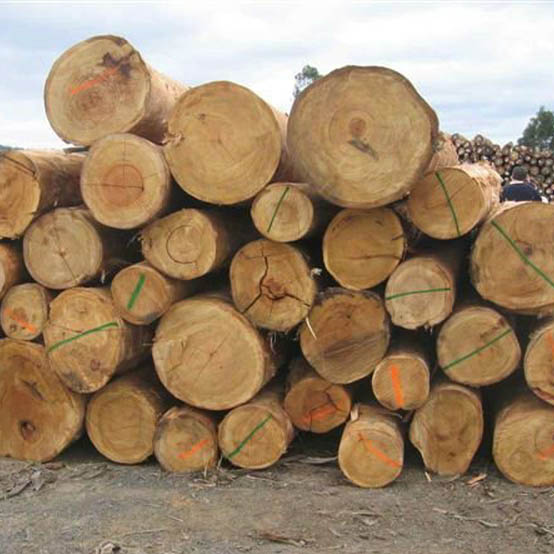 Dabema Wood