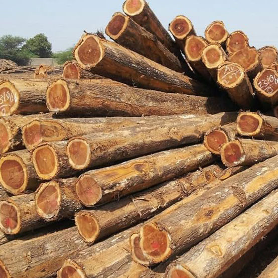 Teak Wood Rough Square blocks for processing